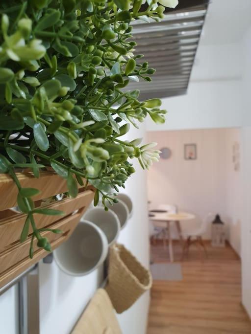 Andrea Apartman Miskolc Belvarosaban Zewnętrze zdjęcie